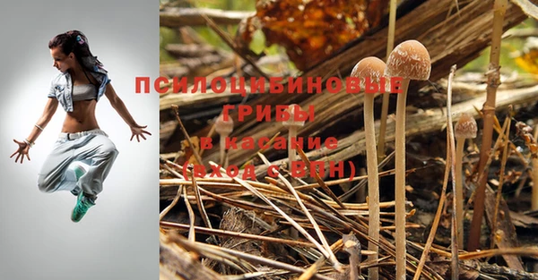герыч Верхнеуральск