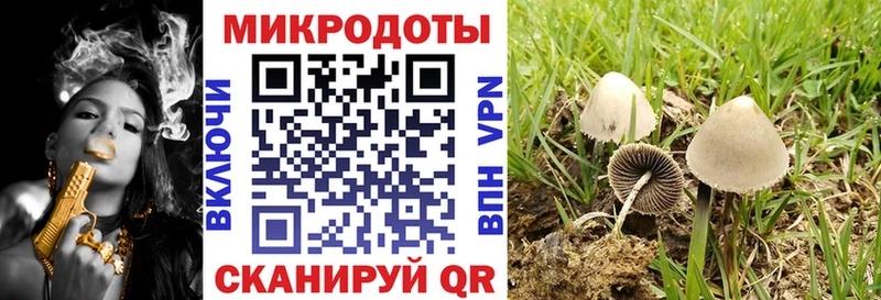 Псилоцибиновые грибы мухоморы Любань
